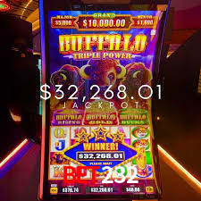 A Experiência Imersiva dos Cassinos Ao Vivo no bet232